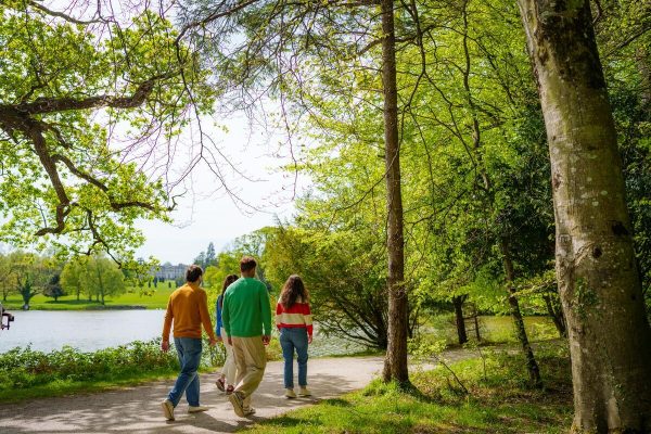 Four people walk along a lakeside path surrounded by green trees on a sunny day.